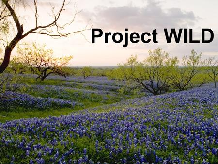 Project WILD. What the Public Should Know  Fish and wildlife resources are a public trust  Conservation and management of terrestrial and water resources.
