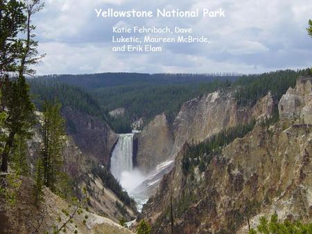Yellowstone National Park Katie Fehribach, Dave Luketic, Maureen McBride, and Erik Elam.