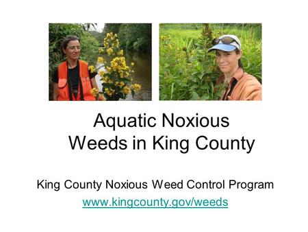 Aquatic Noxious Weeds in King County King County Noxious Weed Control Program www.kingcounty.gov/weeds.
