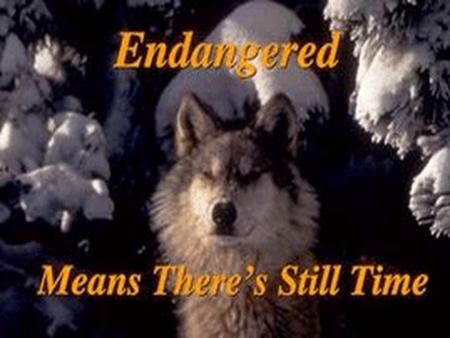Endangered Means There ’ s Still Time  Endangered species are like fire alarms. They tell us about problems in our home we call Earth.  If we listen.