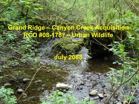 Grand Ridge – Canyon Creek Acquisition RCO #08-1787 – Urban Wildlife July 2008.