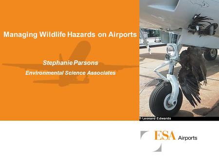 Managing Wildlife Hazards on Airports Environmental Science Associates