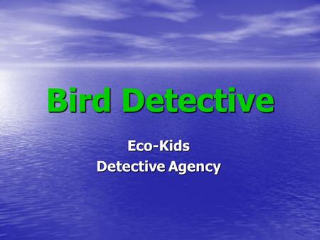 Bird Detective Eco-Kids Detective Agency. Bird Detective A Guide for Identification of Common Florida Birds.