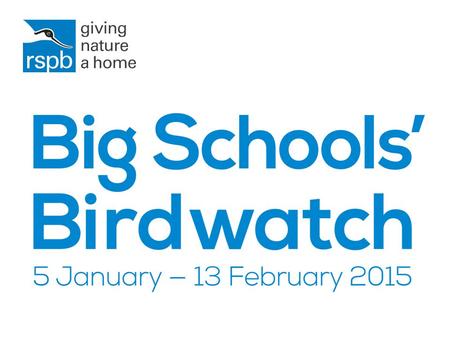 Every year the RSPB asks children across the UK to count the birds in their school grounds.