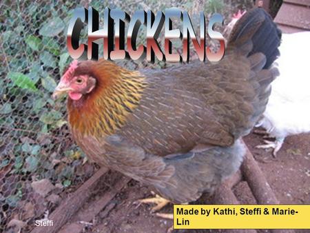 Made by Kathi, Steffi & Marie- Lin Steffi. 1.THE CHICKEN‘S BODY (Steffi) 2.EGGS (Kathi) 3.DISEASES (Marie-Lin) 4. KEEPING CHICKENS (Kathi) 5.RAISING CHICKS.