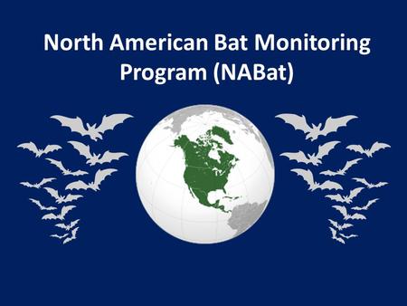 North American Bat Monitoring Program (NABat). Core Team & Supporters Susan Loeb, USFS-SRS Jeremy Coleman, USFWS Laura Ellison, USGS Tom Rodhouse, NPS.