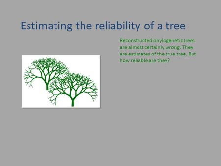 Estimating the reliability of a tree Reconstructed phylogenetic trees are almost certainly wrong. They are estimates of the true tree. But how reliable.