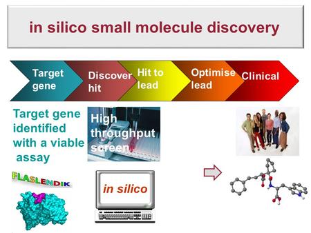 In silico small molecule discovery Sales Target gene Discover hit Hit to lead Optimise lead Clinical Target gene identified with a viable assay High throughput.