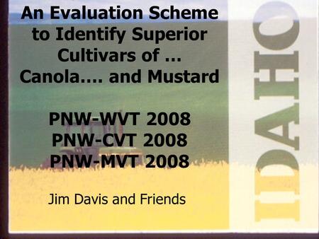 An Evaluation Scheme to Identify Superior Cultivars of … Canola…. and Mustard PNW-WVT 2008 PNW-CVT 2008 PNW-MVT 2008 Jim Davis and Friends.