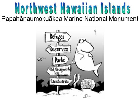 Papahānaumokuākea Marine National Monument Marine pollution: nets and plastic debris.