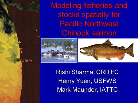 Modeling fisheries and stocks spatially for Pacific Northwest Chinook salmon Rishi Sharma, CRITFC Henry Yuen, USFWS Mark Maunder, IATTC.