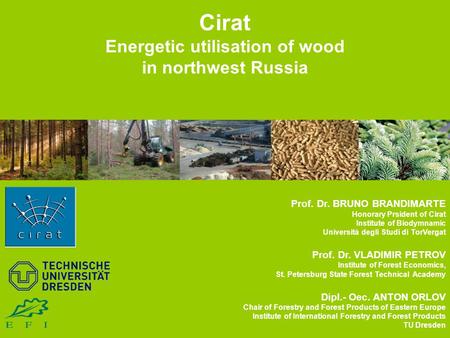 Cirat Energetic utilisation of wood in northwest Russia Prof. Dr. BRUNO BRANDIMARTE Honorary Prsident of Cirat Institute of Biodymnamic Università degli.