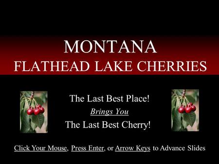 MONTANA FLATHEAD LAKE CHERRIES The Last Best Place! Brings You The Last Best Cherry!! Click Your Mouse, Press Enter, or Arrow Keys to Advance Slides.
