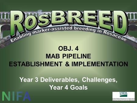 OBJ. 4 MAB PIPELINE ESTABLISHMENT & IMPLEMENTATION Year 3 Deliverables, Challenges, Year 4 Goals.