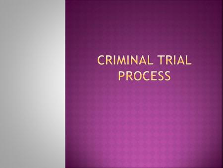  Trial procedures in Canada are based on the ADVERSARIAL SYSTEM – two opposing sides- the Crown and Defence.  There are many key players in a trial: