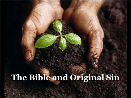 The Bible and Original Sin 1. “In Christian theology the state of sin into which everyone is born as a result of the fall of Adam...According to this,