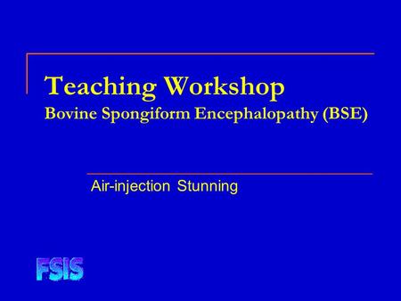 Teaching Workshop Bovine Spongiform Encephalopathy (BSE) Air-injection Stunning.