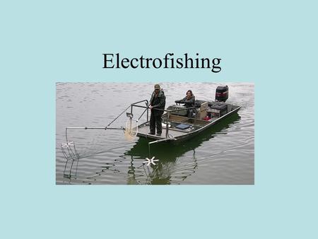 Electrofishing.