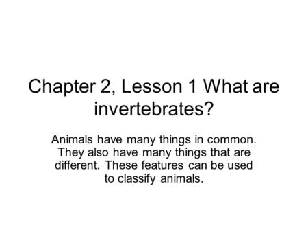 Chapter 2, Lesson 1 What are invertebrates?
