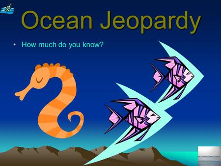Ocean Jeopardy How much do you know? 100 300 200 400 300 500 400 500 400 300 200 The Great Whales Survival in The Sea VenomSharks Mountain in The Sea.