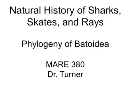 Natural History of Sharks, Skates, and Rays