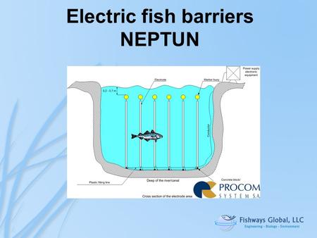 Electric fish barriers NEPTUN. 1.“Informational” electric field - electric energy absorbed to scare not to stun the fish. 2.Random alterations – prevent.