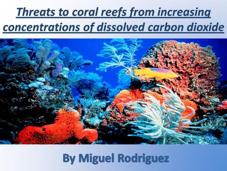 Coral reefs are diverse underwater ecosystems held together by calcium carbonate exoskeletons secreted by corals, which support and protect the coral.
