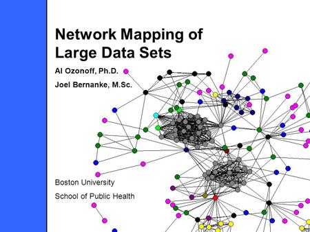 Network Mapping of Large Data Sets Al Ozonoff, Ph.D. Joel Bernanke, M.Sc. Boston University School of Public Health.