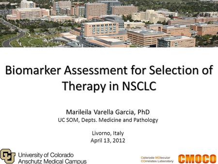 Biomarker Assessment for Selection of Therapy in NSCLC