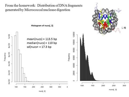 From the homework: Distribution of DNA fragments generated by Micrococcal nuclease digestion mean(nucs) = 113.5 bp median(nucs) = 110 bp sd(nucs+ = 17.3.