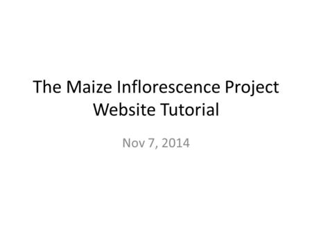 The Maize Inflorescence Project Website Tutorial Nov 7, 2014.