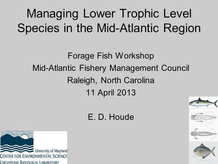 Managing Lower Trophic Level Species in the Mid-Atlantic Region Forage Fish Workshop Mid-Atlantic Fishery Management Council Raleigh, North Carolina 11.