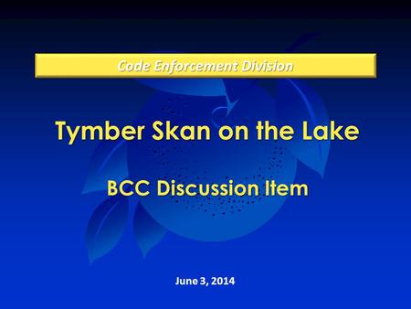 Tymber Skan on the Lake BCC Discussion Item June 3, 2014 Code Enforcement Division.