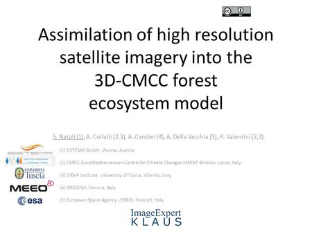 Assimilation of high resolution satellite imagery into the 3D-CMCC forest ecosystem model S. Natali (1), A. Collalti (2,3), A. Candini (4), A. Della Vecchia.