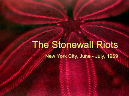 The Stonewall Riots New York City, June - July, 1969.