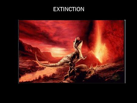 EXTINCTION.  SPECIES AND GENERA EXTINCTION CURVES INDICATE THAT MOST SPECIES ONLY PERSIST FOR A FEW MILLION YEARS.