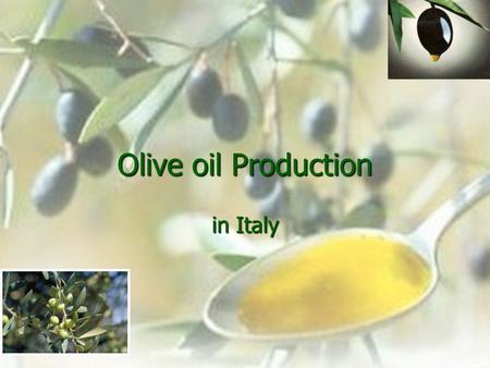 Olive oil Production in Italy. Countries with higher production of olive oil are Spain, Italy and Greece. ITALY is the second olive oil producer in the.