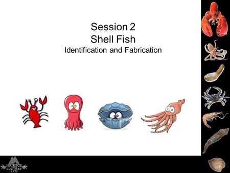 Session 2 Shell Fish Identification and Fabrication.