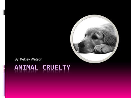By: Kelcey Watson. Animal abuse is cruel and wrong. Animals provide so much for us that the least we can do is provide them with humane treatment.