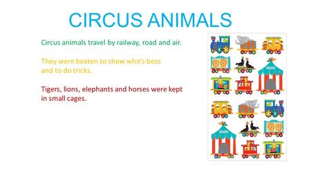 CIRCUS ANIMALS Circus animals travel by railway, road and air. They were beaten to show who’s boss and to do tricks. Tigers, lions, elephants and horses.