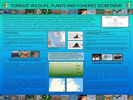 TORNGAT WILDLIFE, PLANTS AND FISHERIES SECRETARIAT The Torngat Secretariat provides administrative and technical support, including research activities,