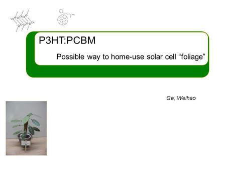 P3HT:PCBM Possible way to home-use solar cell “foliage” Ge, Weihao.