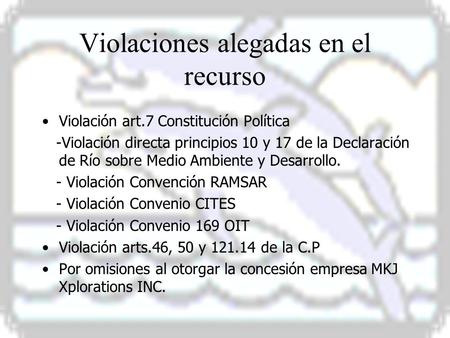 Violaciones alegadas en el recurso Violación art.7 Constitución Política -Violación directa principios 10 y 17 de la Declaración de Río sobre Medio Ambiente.