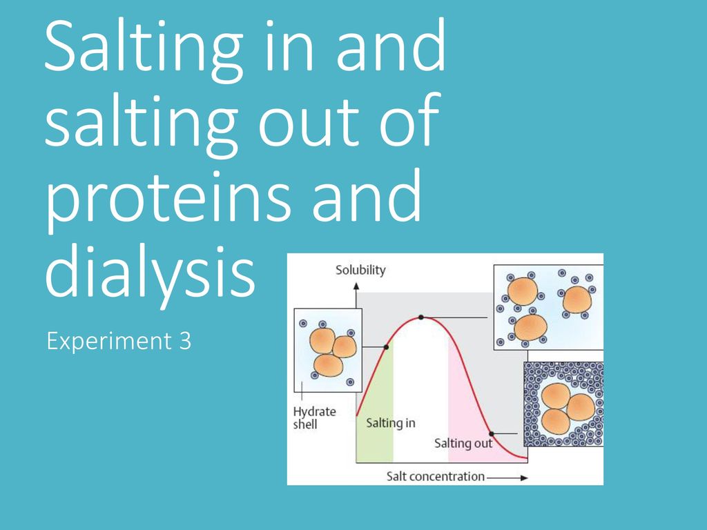 Salting In And Salting Out Of Proteins And Dialysis Ppt Download
