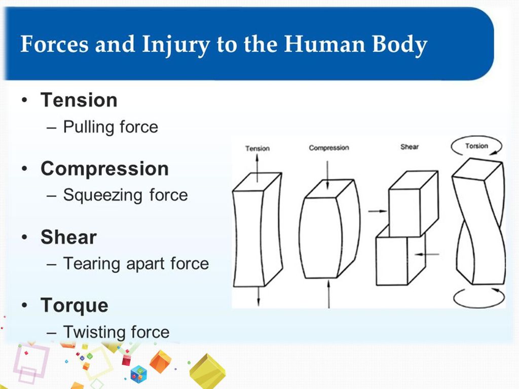 Mechanical Loads on Human Body - ppt download