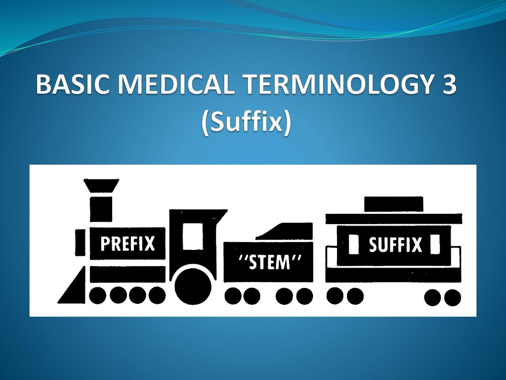Basic Medical Terminology 3 Suffix Ppt Download