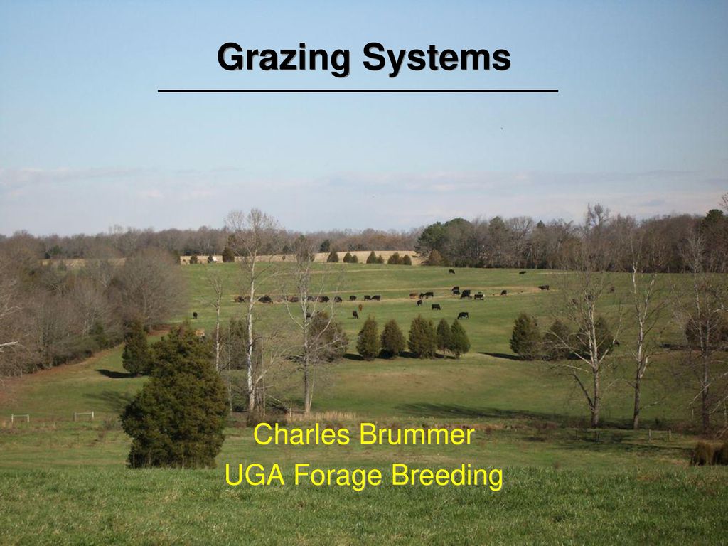 Charles Brummer UGA Forage Breeding - ppt download