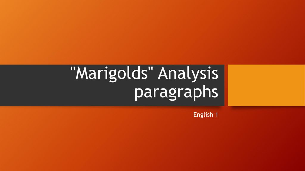 marigolds essay