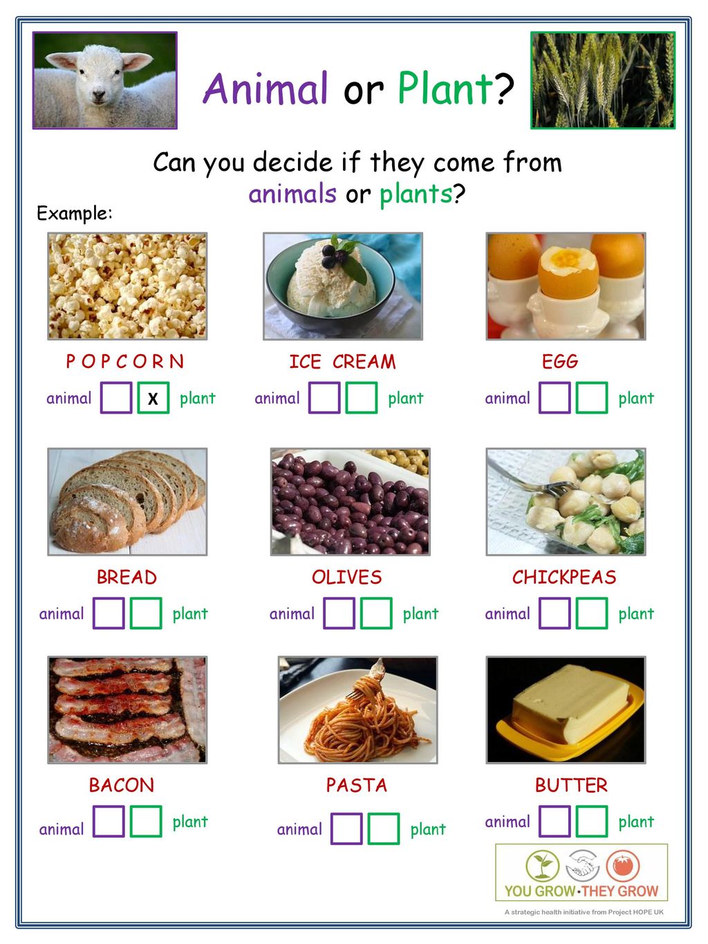 Food Sources Food From Plants Animals food-sources-food-from-plants-animals