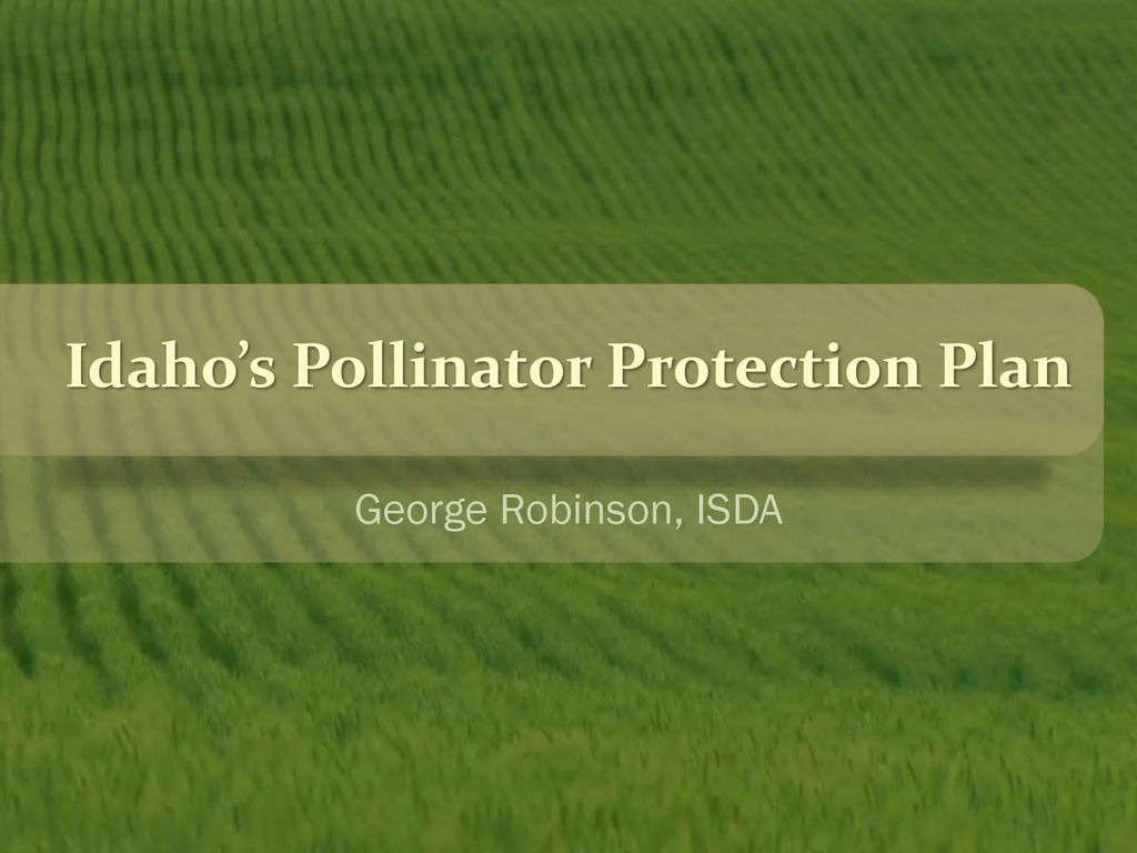 Idaho's Pollinator Protection Plan - ppt download